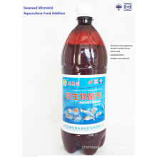 Seaweed Organic Aquaculture Feed Additive